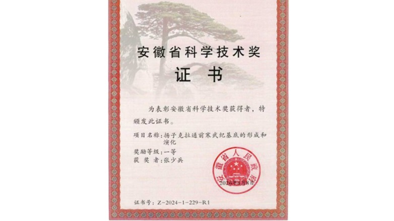 来自安徽省科技创新大会的喜讯：我院张少兵教授团队荣获安徽省自然科学奖一等奖   